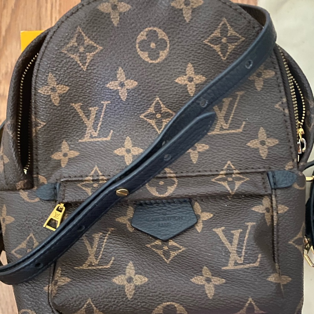 COPY - Mini Louis Vuitton Palm Springs